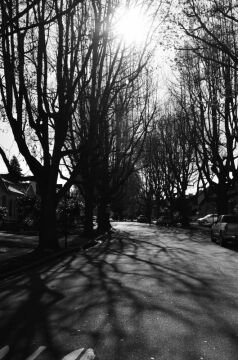 DSC_3565bw.jpg