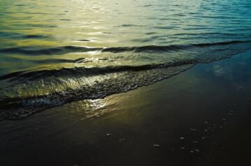 DSC_3626.jpg