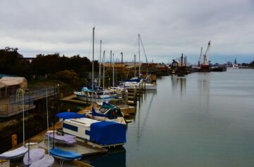 DSC_3749.jpg
