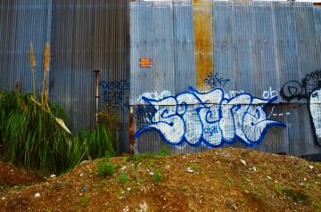 DSC_3770.jpg