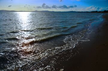DSC_3877.jpg