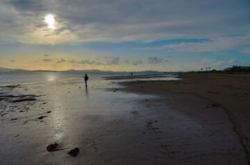 DSC_3941.jpg