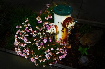 DSC_4120.jpg