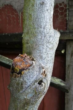 DSC_4137.jpg