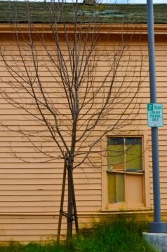 DSC_4159.jpg