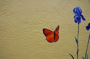 DSC_4326.jpg