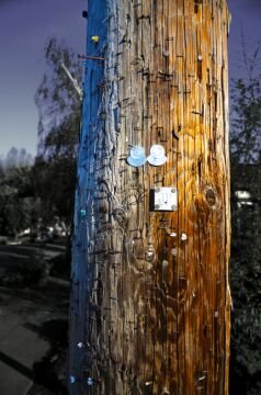 DSC_4499.jpg