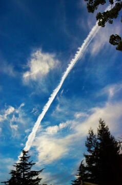 DSC_4576.jpg