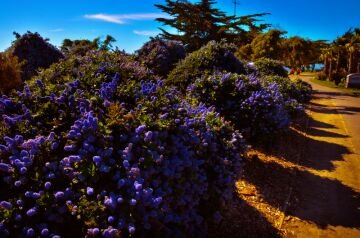 DSC_4685.jpg
