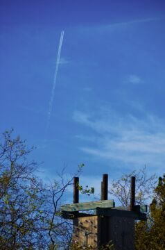 DSC_4754.jpg
