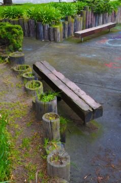 DSC_4816.jpg
