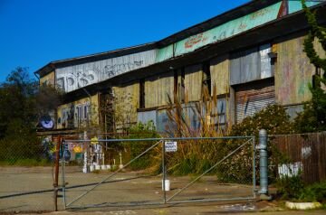 DSC_4841.jpg