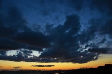 DSC_4954.jpg