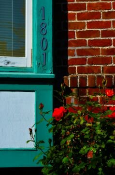 DSC_5072.jpg