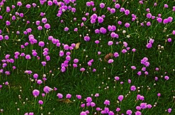 DSC_5159.jpg