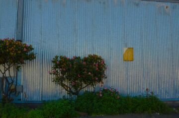 DSC_5169.jpg