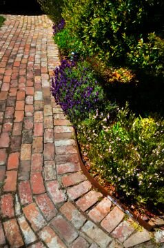 DSC_5188.jpg