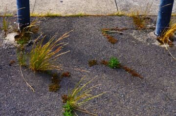 DSC_5397.jpg