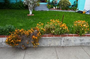 DSC_5434.jpg