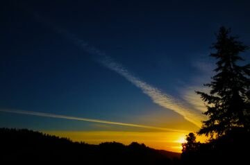 DSC_5650.jpg