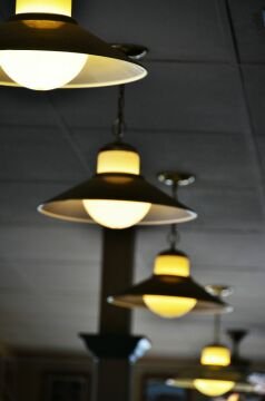 DSC_5691.jpg