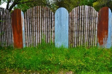 DSC_5720.jpg