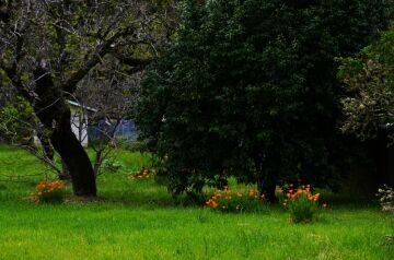DSC_5751.jpg