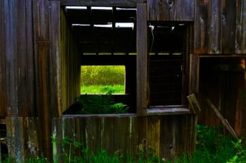 DSC_5904.jpg