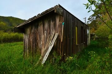 DSC_5906.jpg