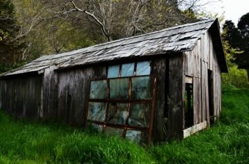 DSC_5920.jpg