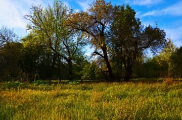 DSC_5925.jpg