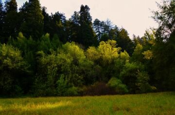 DSC_5926.jpg