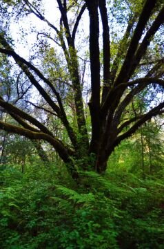 DSC_5948.jpg