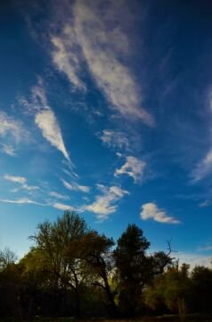 DSC_5961.jpg