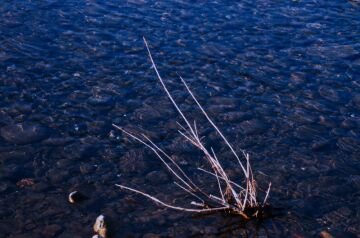 DSC_5967.jpg