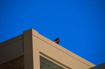DSC_6146.jpg