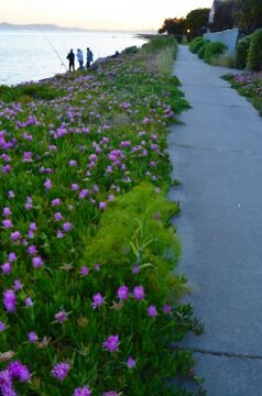 DSC_6168.jpg