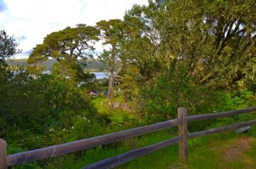 DSC_6921.jpg
