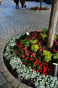 DSC_7987.jpg