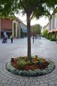DSC_7989.jpg
