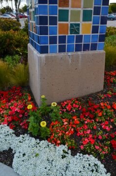 DSC_8014.jpg
