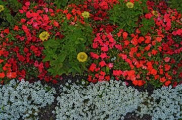 DSC_8017.jpg