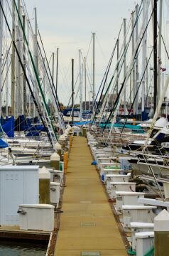 DSC_8110.jpg