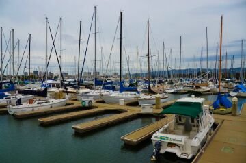 DSC_8128.jpg