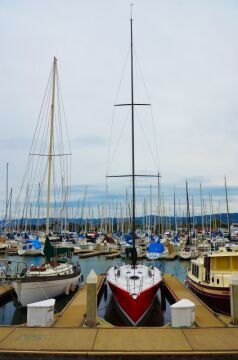DSC_8131.jpg