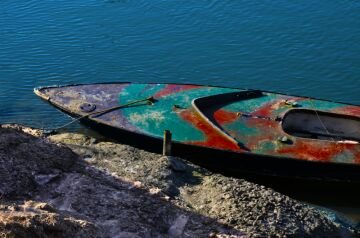 DSC_8445.jpg