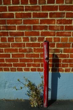 DSC_9157.jpg