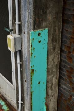 DSC_9719.jpg