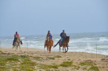 DSC_9883.jpg