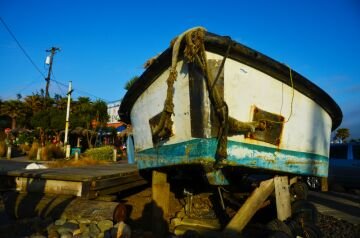 DSC_9962.jpg